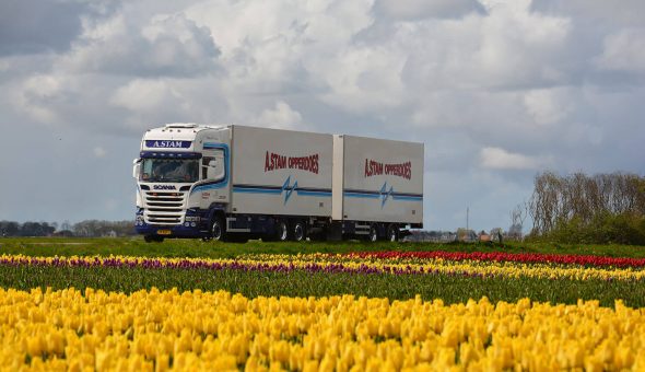 Bloemen en planten combinaties opgebouw op een Scania