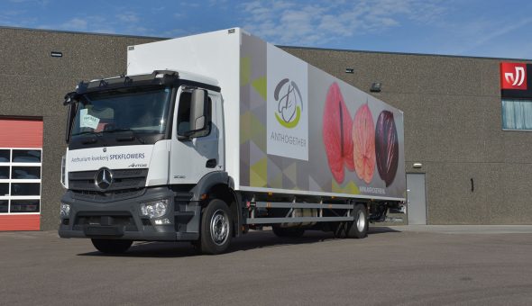 Geisoleerde carrosserie motorwagen op Mercedes Antos voor bloemen en platen transport